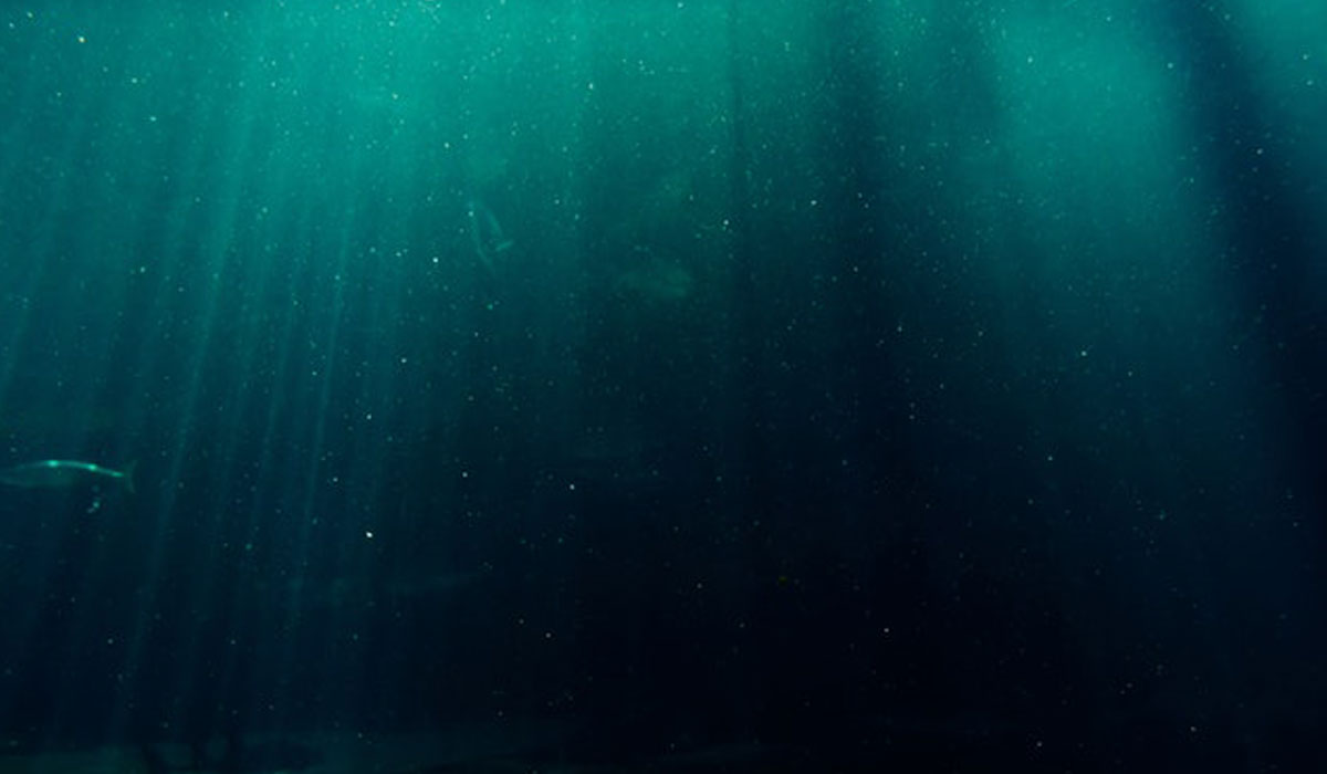En este momento estás viendo Salmon Fish Farms with Floating Cages